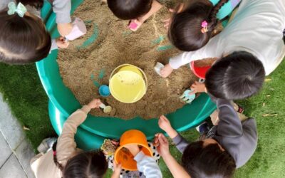 今日の活動12月2日