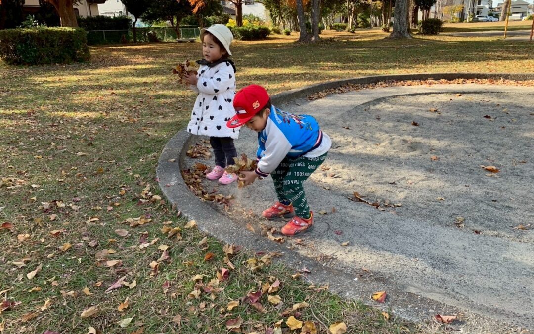 今日の活動１２月１０日