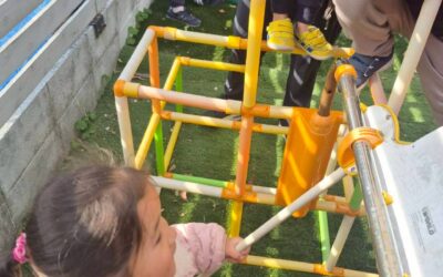 今日の活動１月１５日