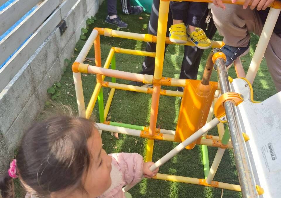 今日の活動１月１５日