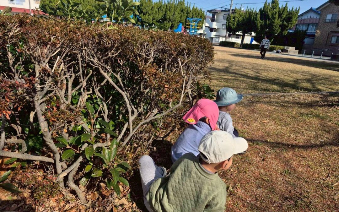 今日の活動1月19日