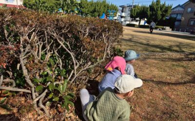 今日の活動1月19日