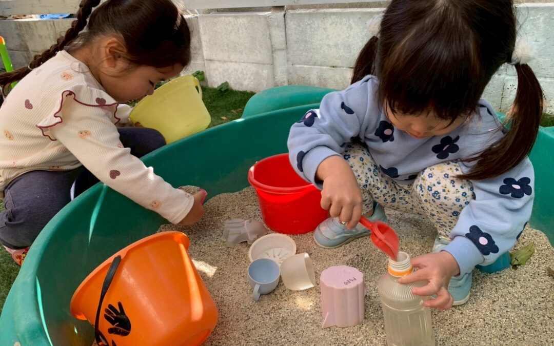 今日の活動１月８日