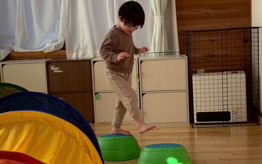 今日の活動1月12日