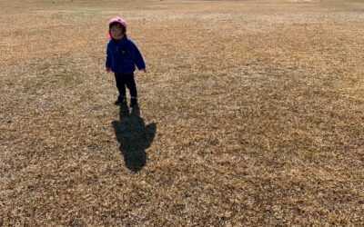 今日の活動1月28日