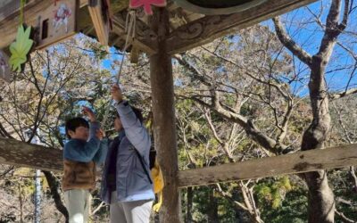 今日の活動1月17日