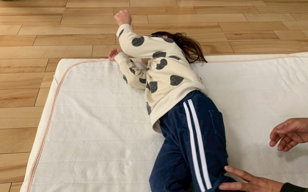 今日の活動１月２２日