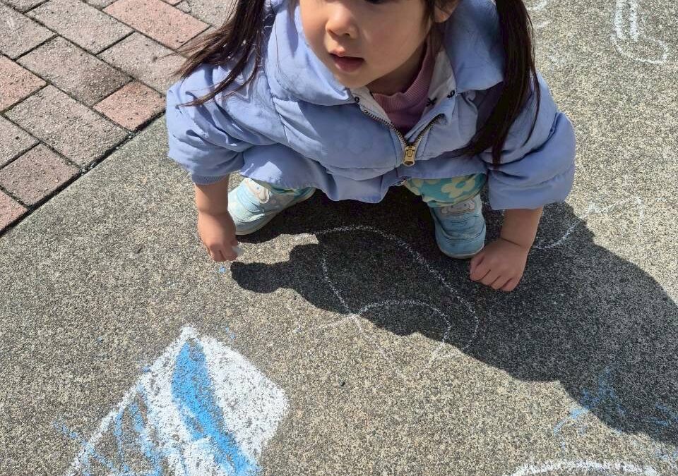 今日の活動2月26日