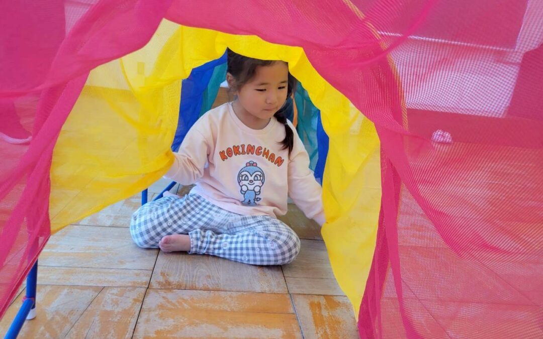 今日の活動2月23日