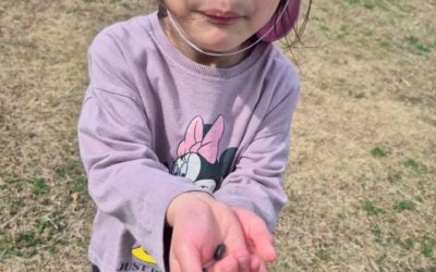 今日の活動2月27日