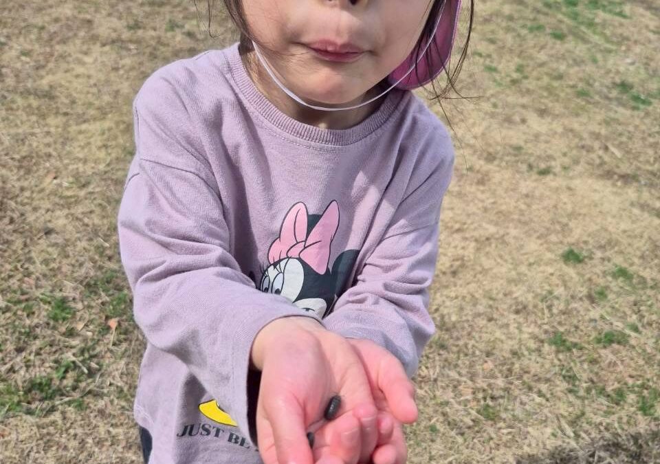 今日の活動2月27日