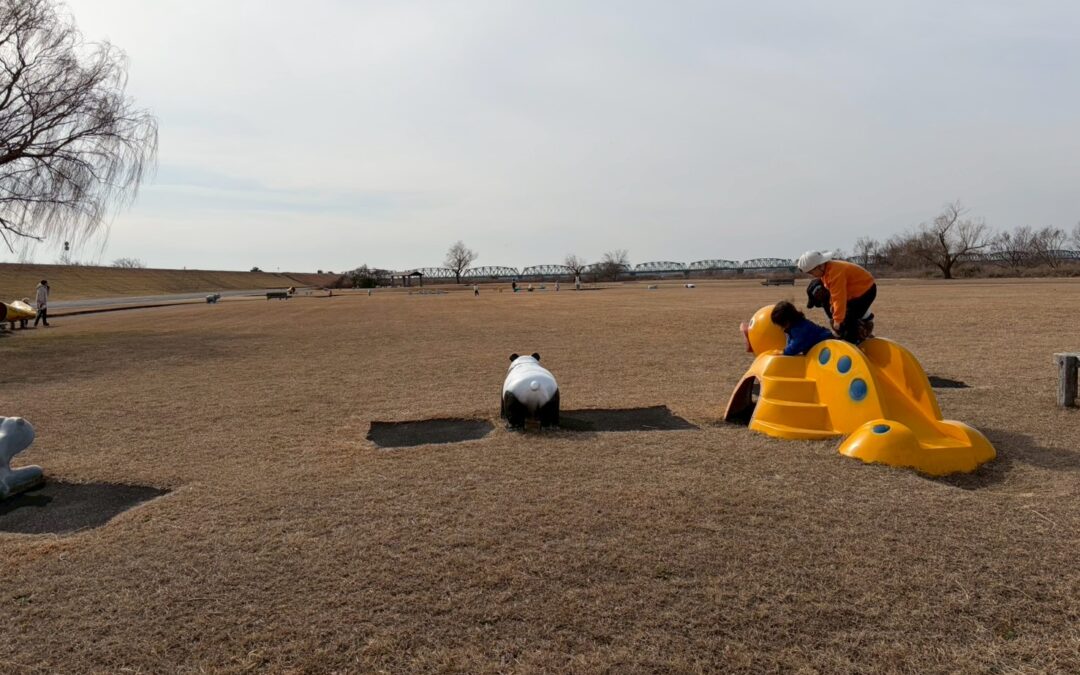 今日の活動2月5日