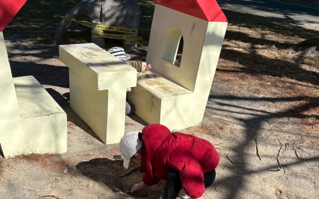 今日の活動2月4日