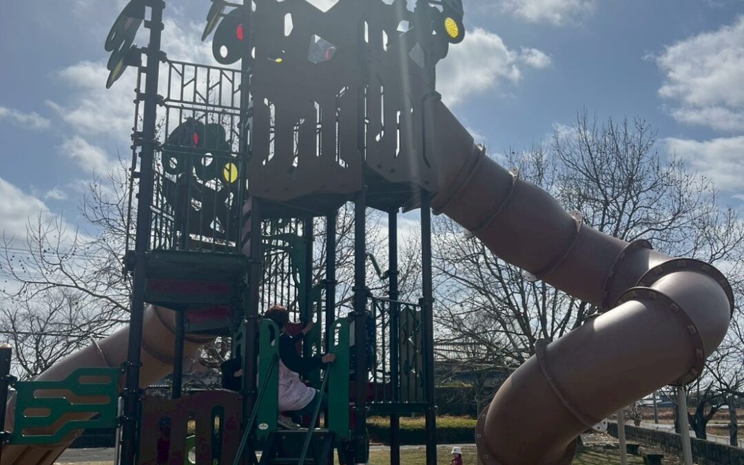 今日の活動３月６日