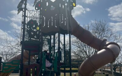 今日の活動３月６日