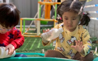 今日の活動3月17日