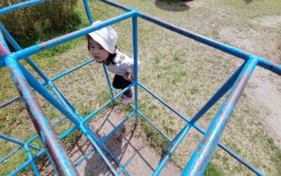 今日の活動4月9日