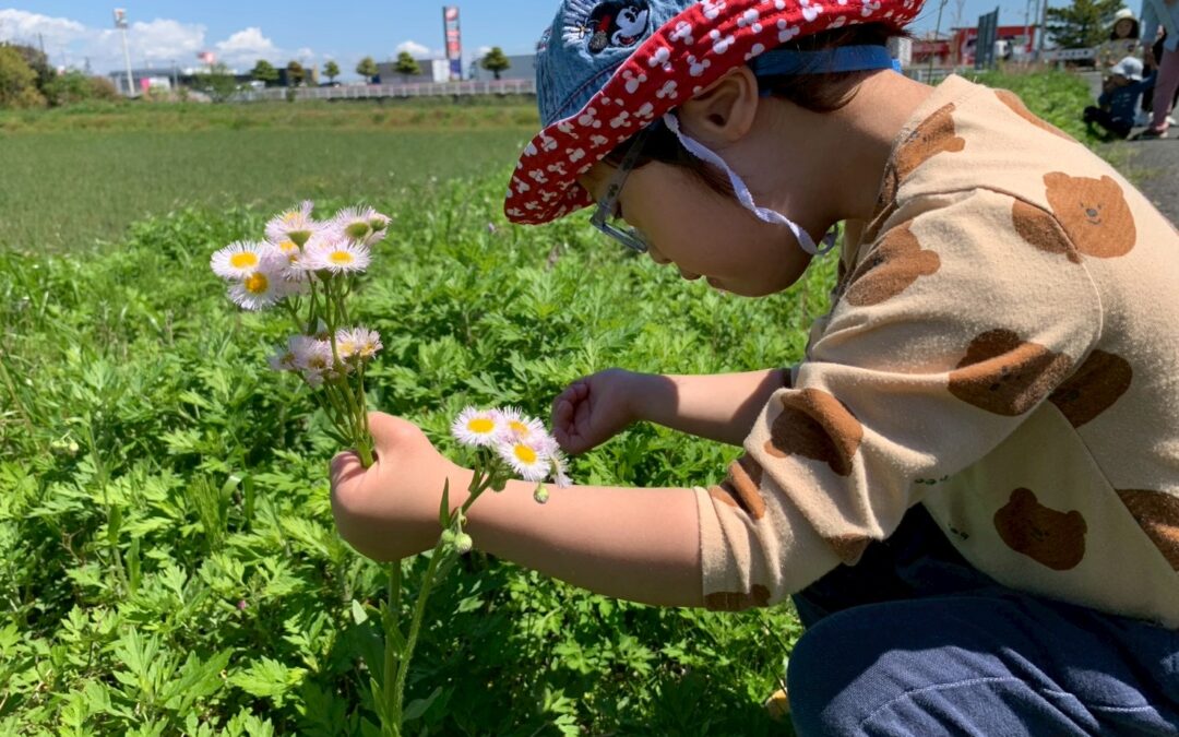 今日の活動4月16日