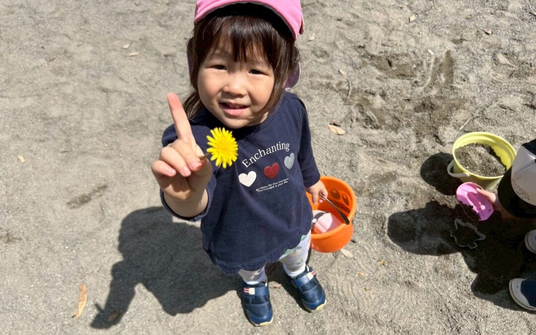 今日の活動4月14日