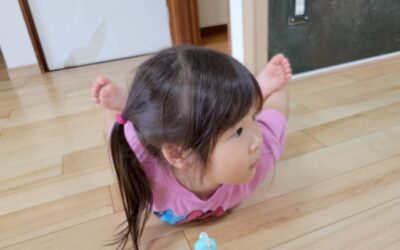 今日の活動５月19日（火）