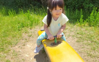 今日の活動5月13日