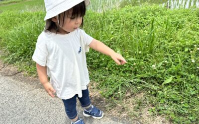 今日の活動6月29日