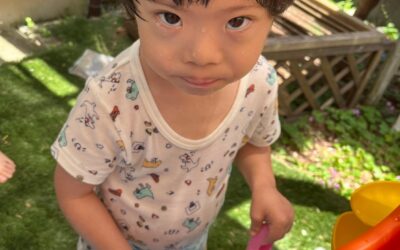 今日の活動6月1日