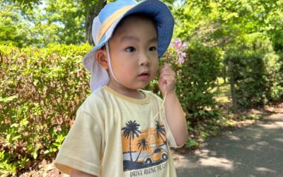 今日の活動6月10日