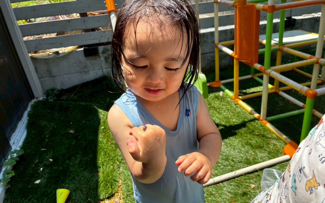 今日の活動6月12日