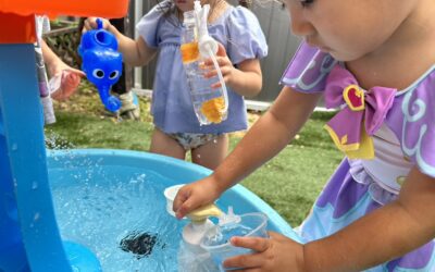 今日の活動7月8日