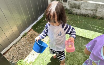今日の活動7月29日