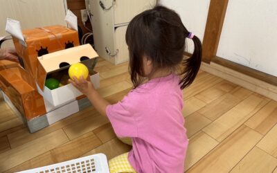 今日の活動7月7日