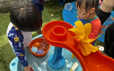 今日の活動8月3日