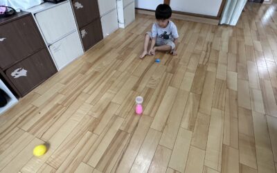 今日の活動9月14日