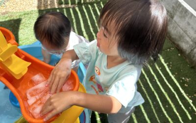 今日の活動9月22日