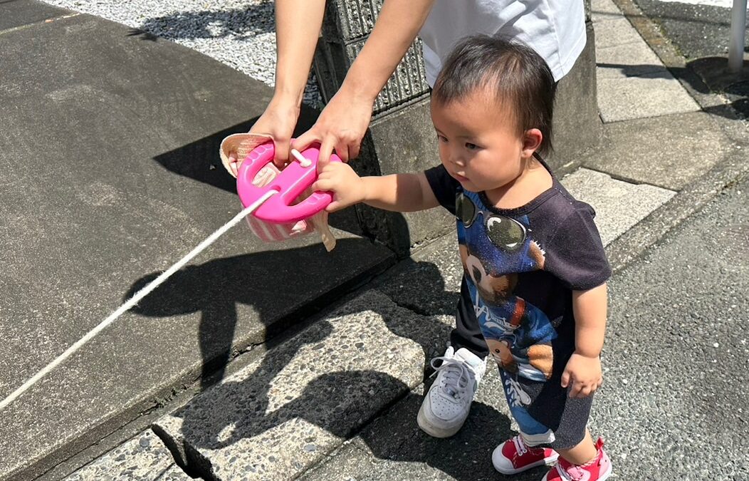 今日の活動9月17日