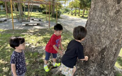 今日の活動10月2日